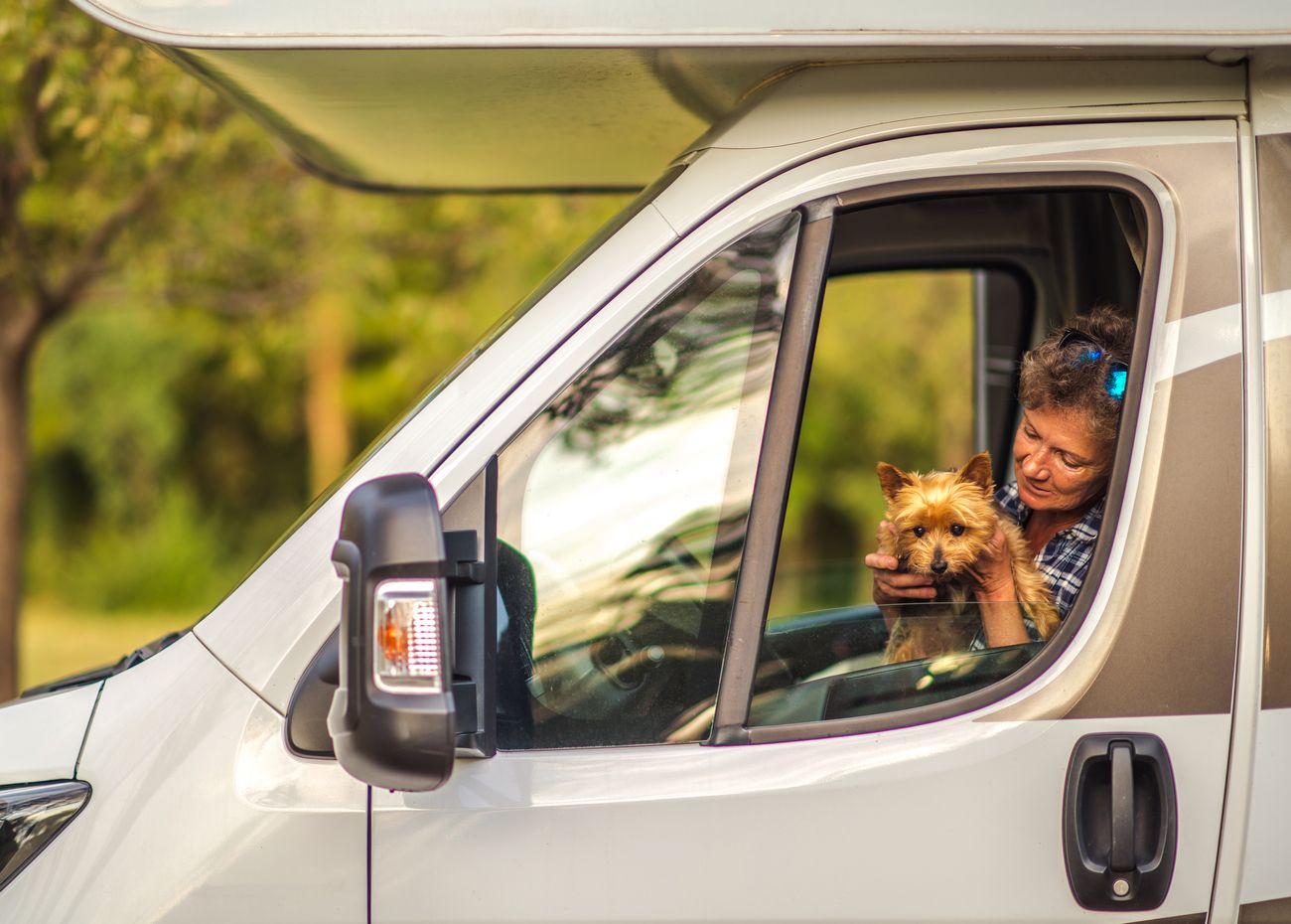 10 Consejos para viajar con mascotas en una Camper