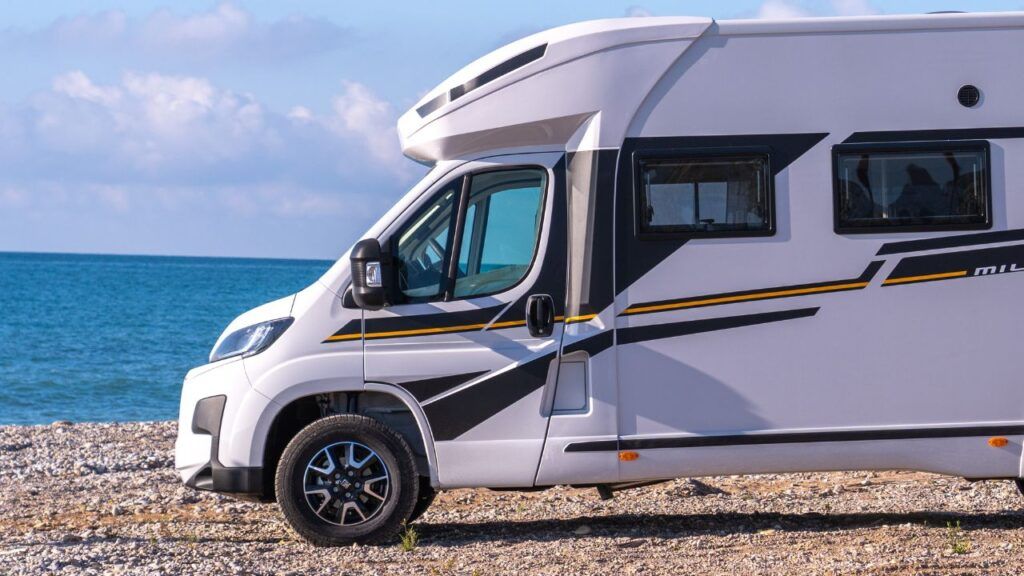 elige el gato adecuado para tu autocaravana